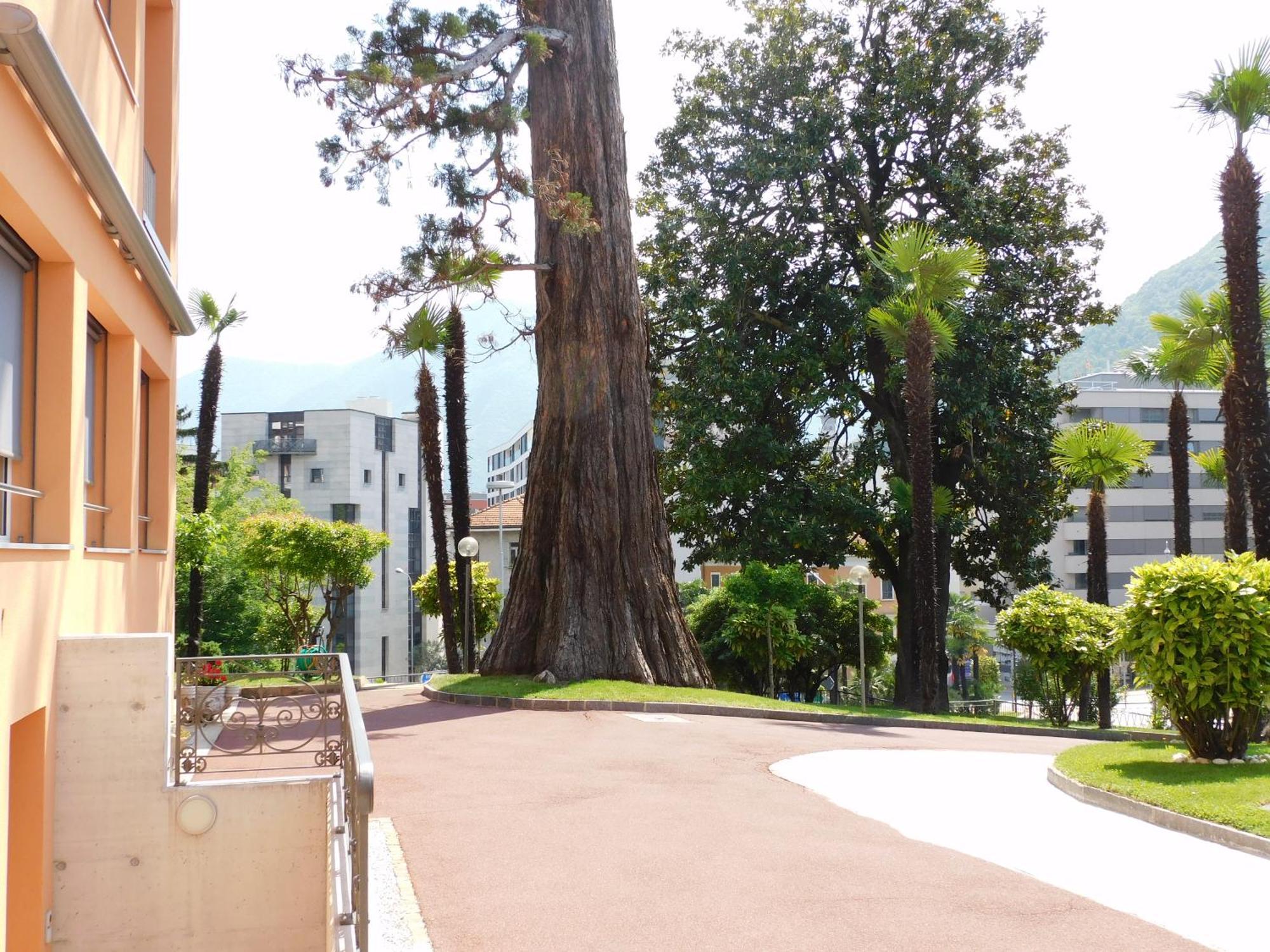 Casa Santa Birgitta Hotel Lugano Kültér fotó