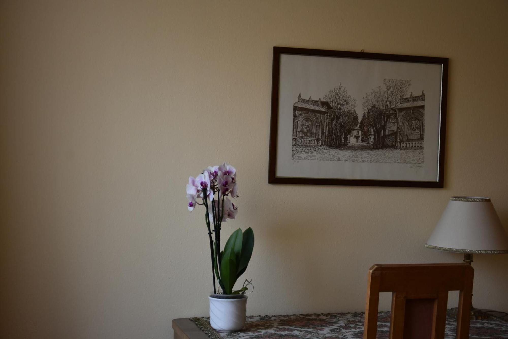 Casa Santa Birgitta Hotel Lugano Kültér fotó